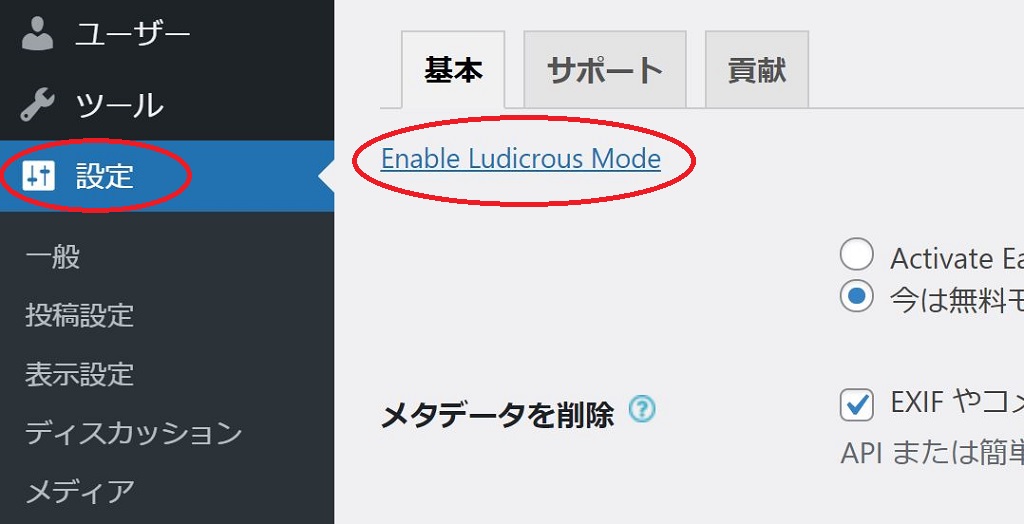 Ludicrous-mode